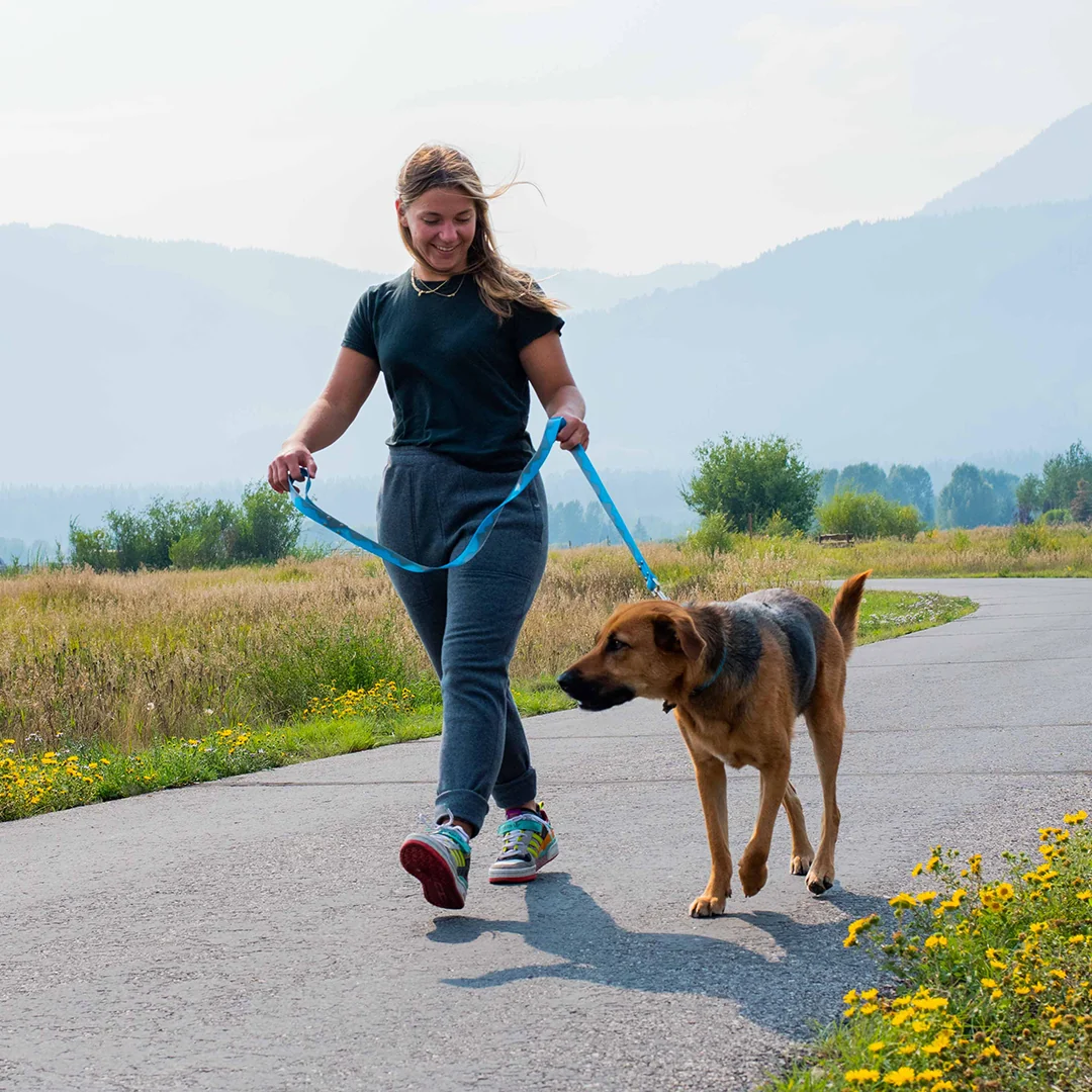Yoggers - Image 6
